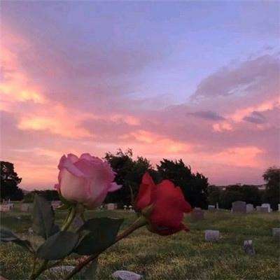 半岛网页版入口官网