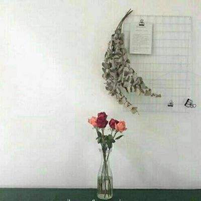 双博体育娱乐线上