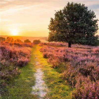 星空体育全站App